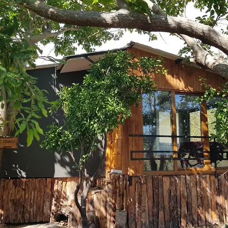 Chimera Holiday House