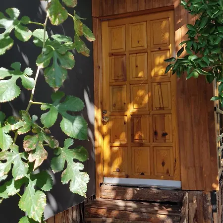 Chimera House Kemer